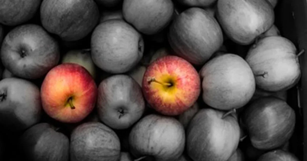 LWIR Lenses for Uncooled Thermal Imaging Systems